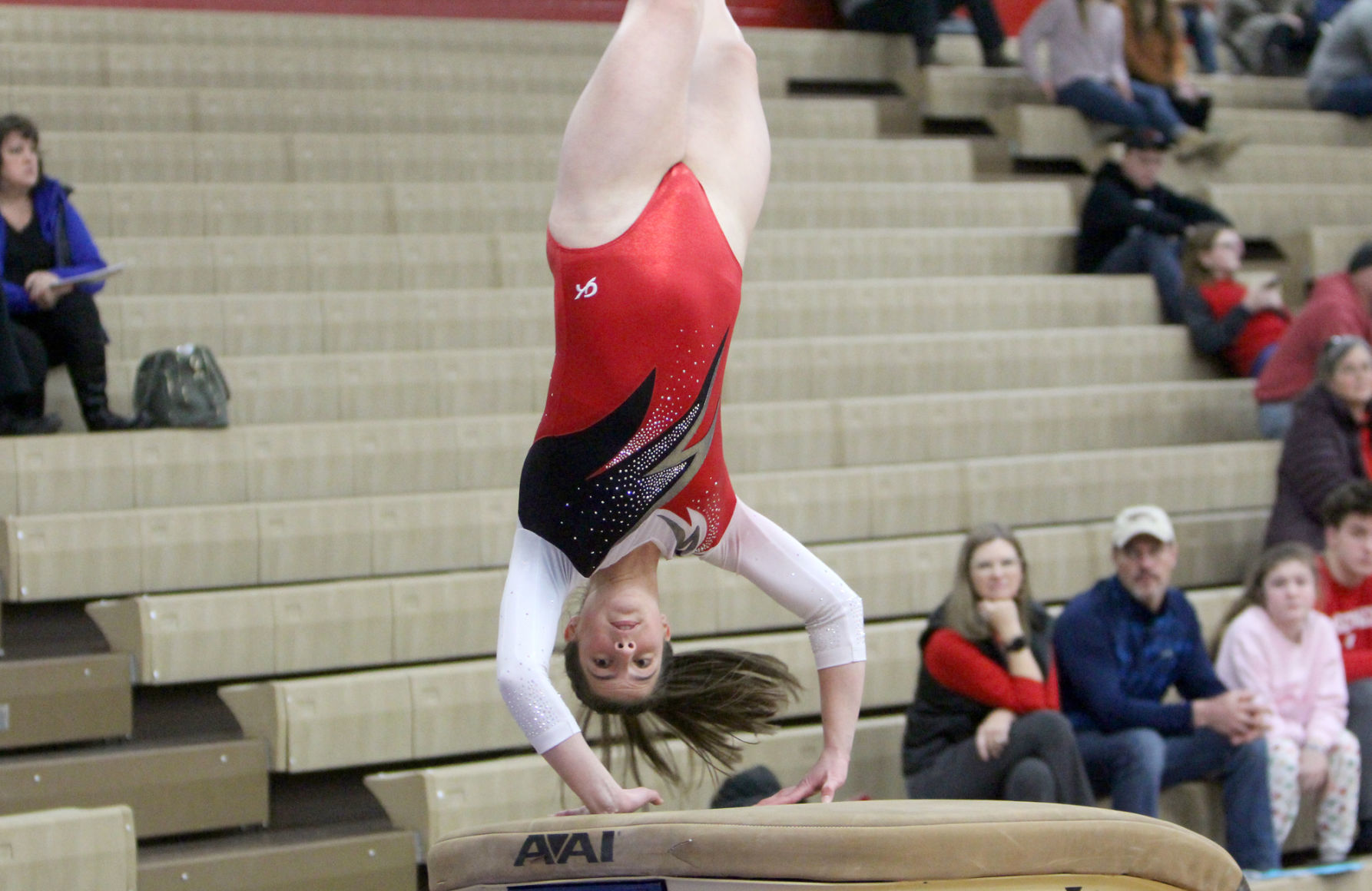 Chi-Hi Gymnastics Triangular 1-17-19